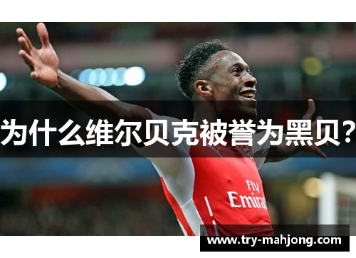 为什么维尔贝克被誉为黑贝? 为什么维尔贝克被誉为黑贝?