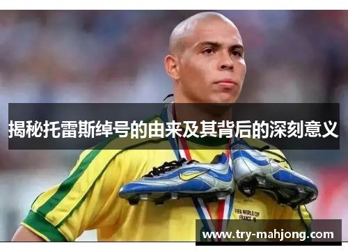 揭秘托雷斯绰号的由来及其背后的深刻意义