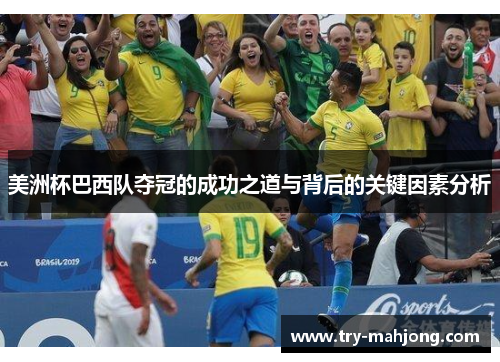 美洲杯巴西队夺冠的成功之道与背后的关键因素分析