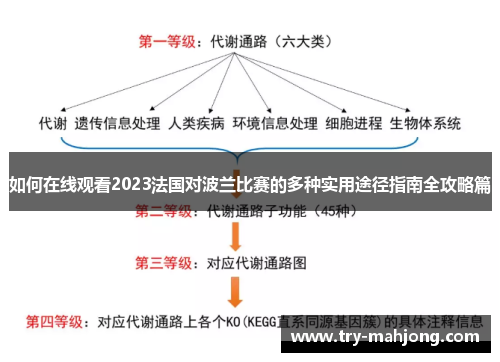 如何在线观看2023法国对波兰比赛的多种实用途径指南全攻略篇