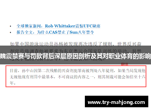 魏震禁赛与罚款背后深层原因剖析及其对职业体育的影响 魏震禁赛与罚款背后深层原因剖析及其对职业体育的影响