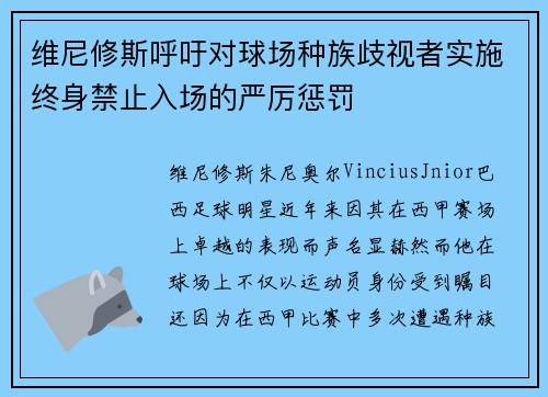 维尼修斯呼吁对球场种族歧视者实施终身禁止入场的严厉惩罚 维尼修斯呼吁对球场种族歧视者实施终身禁止入场的严厉惩罚